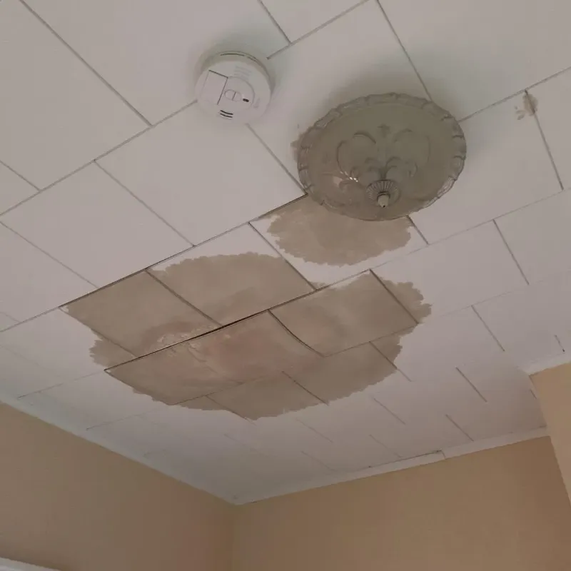 Ceiling Water Damage Repair in Ferrisburgh, VT
