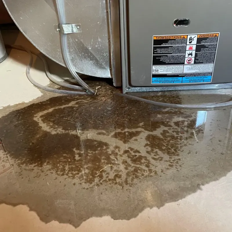 Pipe Burst and Leak Restoration in Ferrisburgh, VT